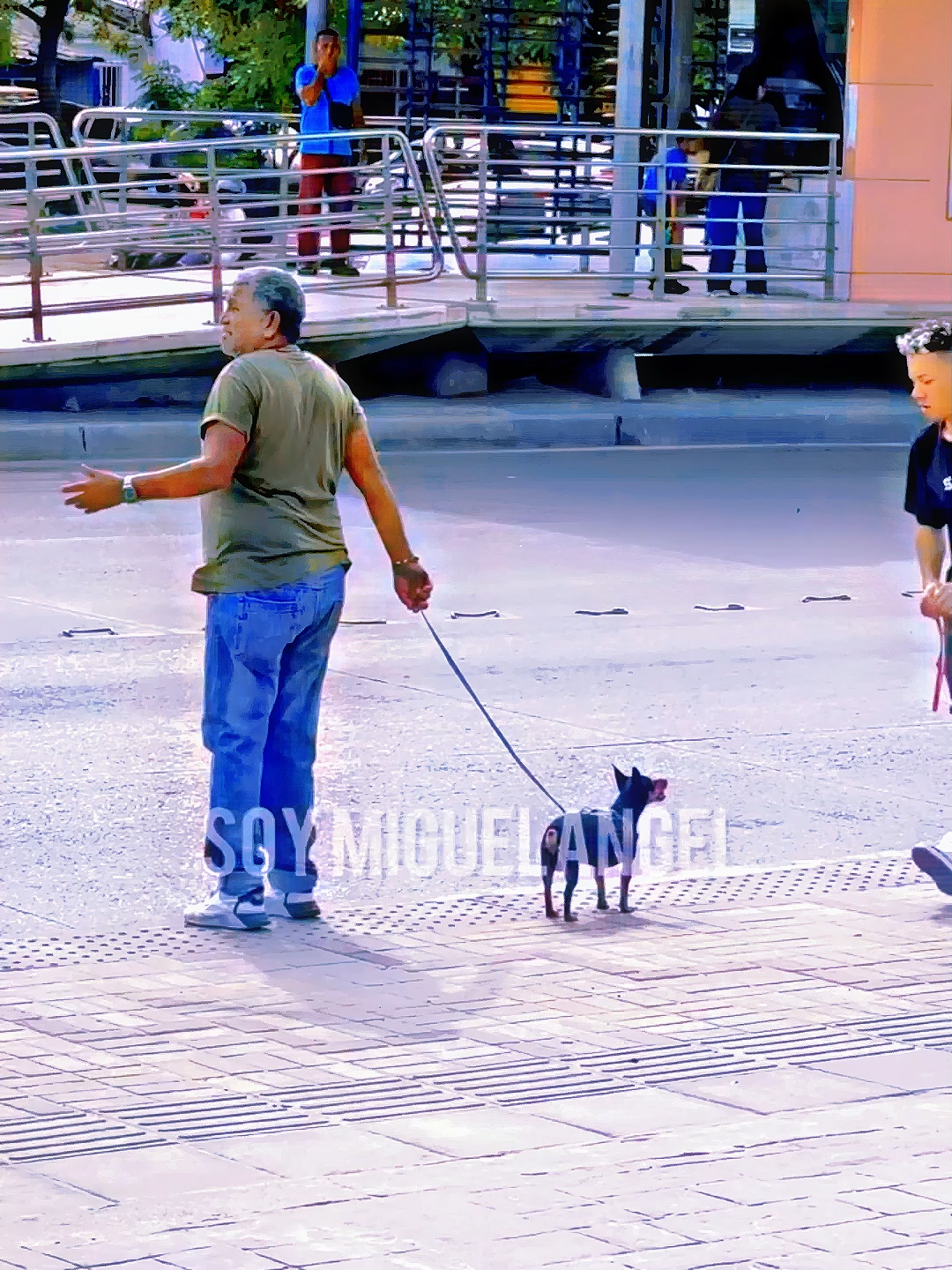 The identical dog #funny #funnyvideos #funnymoments #funnyprank #comedy
