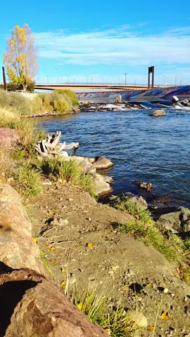 #live #fypシ゚viral #colorado #ArkansasRiver #fishing 