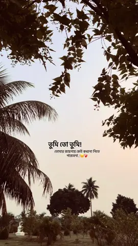 তুমি তো তুমি, তোমার জায়গায় কেউ কখনো নিতে পারবেনা..!😊❤️‍🩹