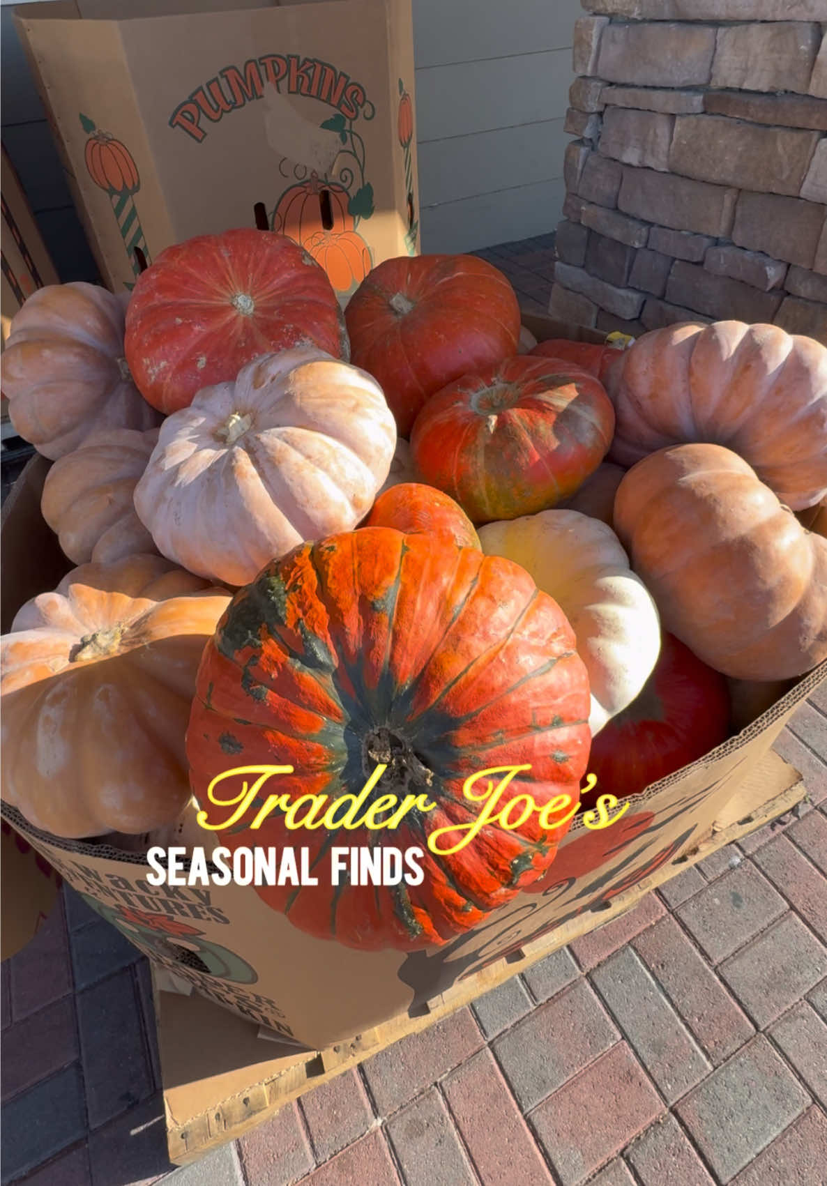 Seasonal Finds at Trader Joe’s 🛒🎃 #traderjoes #haul #shopping 