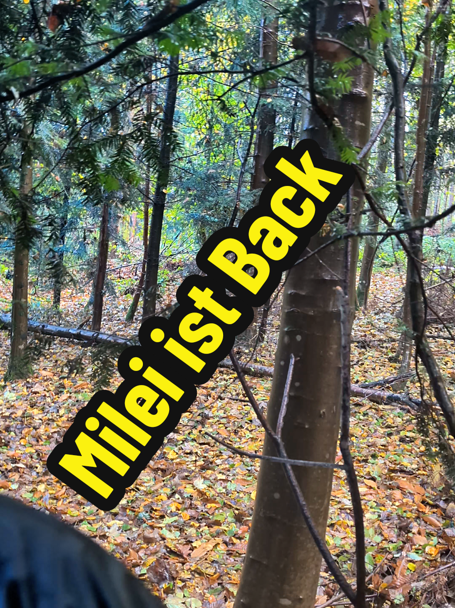 #milei #libertad #liberal #libertär 