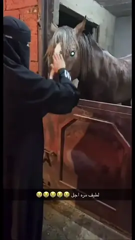 #الشعب_الصيني_ماله_حل😂😂 #horse #خيل_وخياله🐎 #animals #حيوانات 