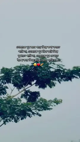 তোমাকে খুব মনে পড়ে কিন্তু কথা বলতে পারি না, তোমাকে খুব মিস করি কিন্তু বুঝাতে পারি না, তোমাকে খুব দেখতে ইচ্ছে করে কিন্তু কাছ#adi_ #your_mis #vairal