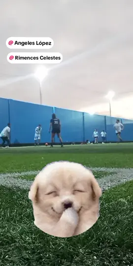 Solo vine a eso 🫣🤭 @Angeles López @Rimences Celestes  #paratiiiiiiiiiiiiiiiiiiiiiiiiiiiiiii #viral #fyp #Deporte #Futbol 