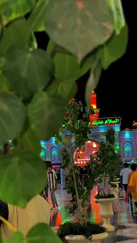 Salam ya mola #100millionviews #fyp #hussainjanam #viral?videotiktok 