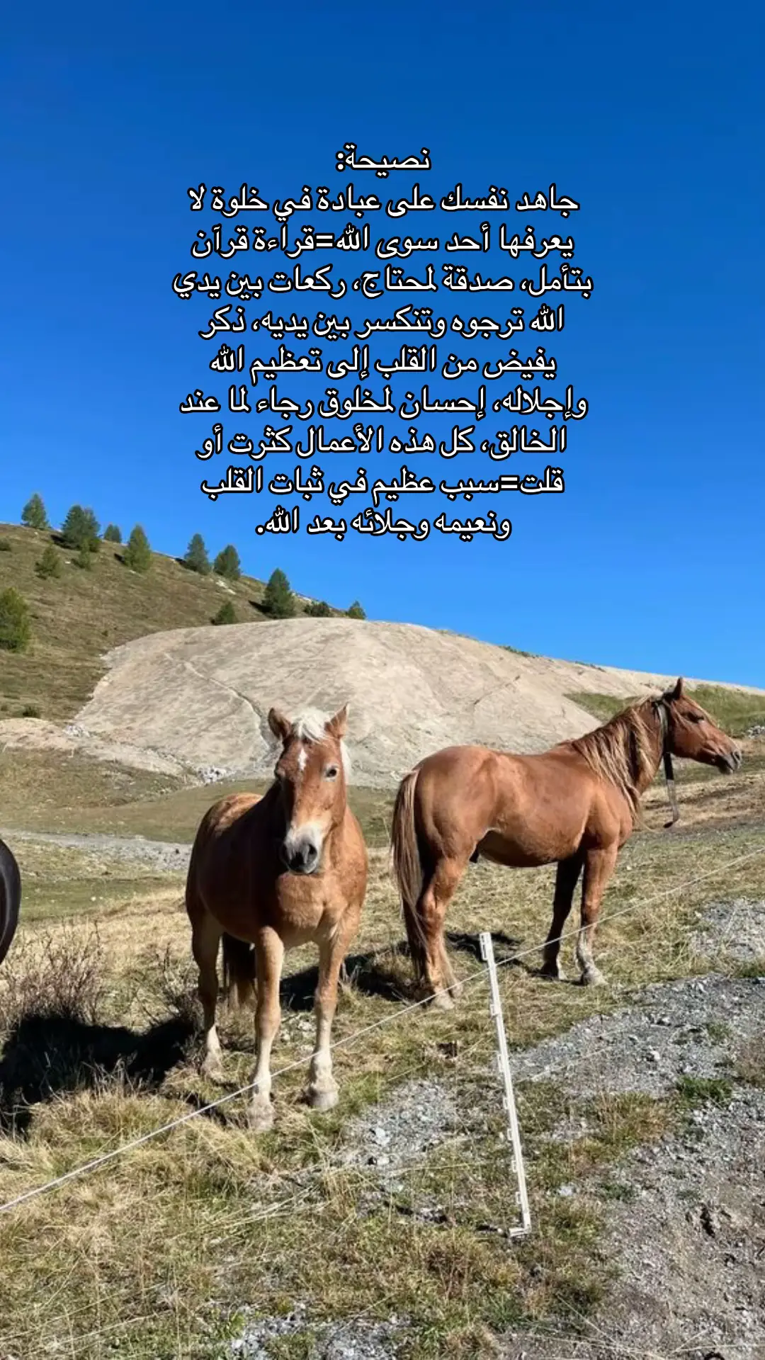 #استغفرالله #سبحان_الله #اذكروا_الله 