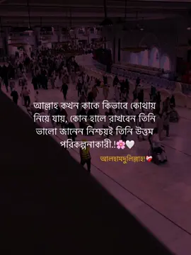 আল্লাহ কখন কাকে কিভাবে কোথায়  নিয়ে যায়, কোন হালে রাখবেন তিনি  ভালো জানেন। নিশ্চয়ই তিনি উত্তম  পরিকল্পনাকারী.!🌸🤍 আলহামদুলিল্লাহ!  #islamic_video #unfrezzmyaccount #vairal #trending #fypシ 