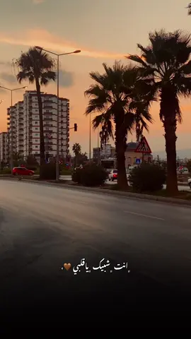 #عباراتكم #مرسين #تصويري📸 #اعادة_النشر🔃 #اكسبلورexplore 