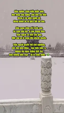 Giàu nghèo #giau #ngheo #phatphapnhiemmau #adidaphat #viral 