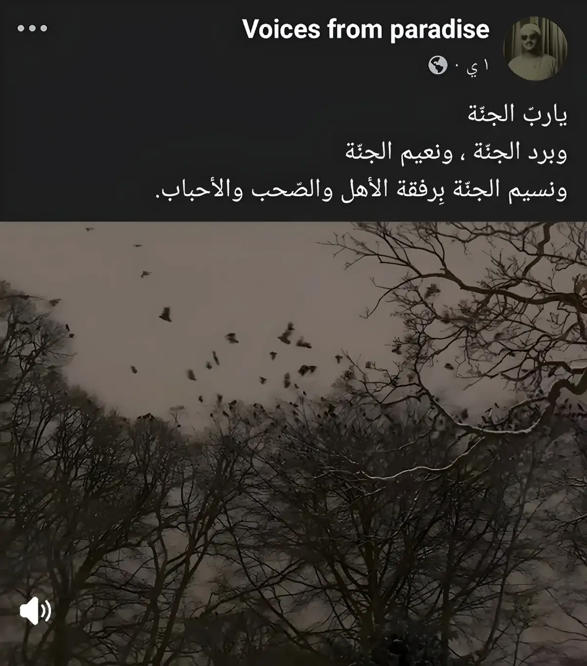 #quran #allah. #قران_كريم#. متابعه_ولايك_واكسبلور_فضلا_ليس_امر