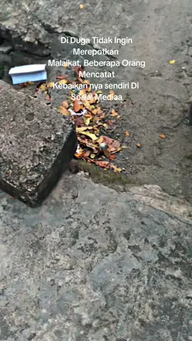 jalur mandiri🙌#promomakangajian #promoseruweekend #galeridiesel #fyppppppppppppppppppppppp 