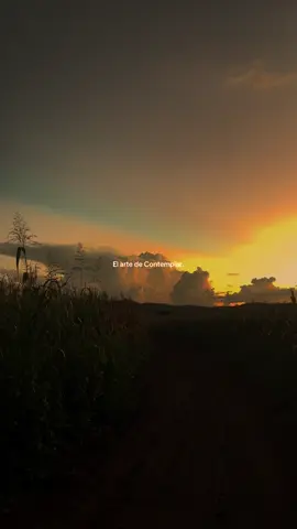 Contemplar es asombroso  #sunset #atardecer 