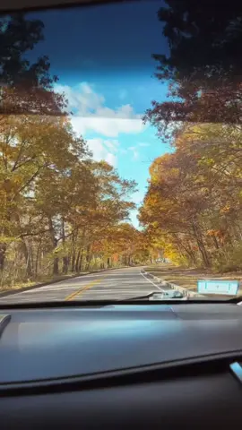 #LIVEIncentiveProgram #KeepItRealKeepItLIVE #PaidPartnership 