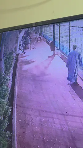 #الشعب_الصيني_ماله_حل😂😂 