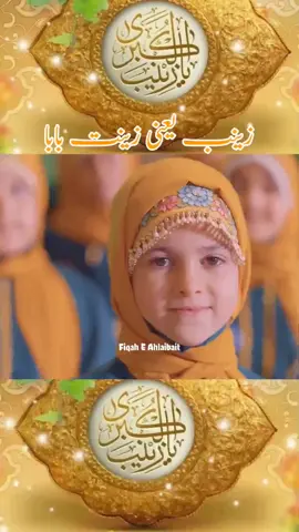#fiqah_e_ahlaibait #yazainab 
