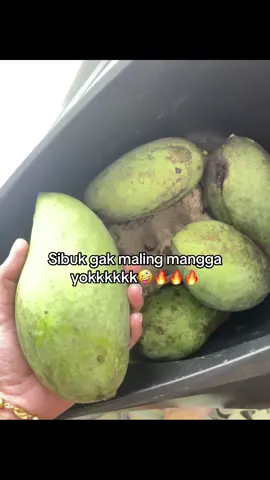 #dyppppppppppppppppppppp #dyppppppppppppppppppppp #foryou #beranda #terding 