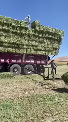 #BalliBotMogis #TrendingReels #TrendingReels #Foryoupage ##FYP #FYP #ViralTikTok #MillionViews #TechMagic #SmartBot #AITrend #RobotVibes #Innovation