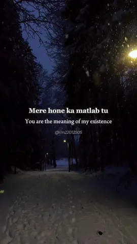 Every lyric✨ | Haath Main Tera Haath❤️ #manojnegi #englishtranslation #foryoupage #browntiktok #xyzbca