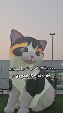 ضيفوني للاطلاع ع اجمل الفعاليات @mix.uaee @mix.uaee @mix.uaee @mix.uaee  متابعيني سمعتو عن حديقة القطط المضيئة ؟؟؟ أول حديقة من نوعها في الإمارات!  تقع في عجمان فستيفال لاند   وسعر الدخول فقط 5 دراهم   والدخول مجاني للأطفال تحت عمر 5 سنوات تستمتعون هناك بمجسمات قطط مضيئة ضخمة، وتقدرون تلمسون وتلعبون مع القطط الحقيقية ، وفيه ركن لتبني القطط  وأرجوحة خفيفة للأطفال  ومواقف مجانية  الحديقة مفتوحة من 23 أكتوبر إلى 10 ديسمبر ضمن أجواء عجمان فستيفال لاند اللي فيها ألعاب، مطاعم، ومتاجر كثيرة ومصليات.. أجواء عائلية مثالية لعشاق القطط والصغار! اوقات العمل 5 العصر  ل 11 م  بس نصيحة اسمعو مني : روحو من وقت الساعة 5 بالضبط وايام الاسبوع 😂 لان زحححمة انا وصلت 5 ونص و الوضع كان تمام و الجو مناسب مب وايد حر  رسوملدخول فيستفال لاند: 5 دراهم 