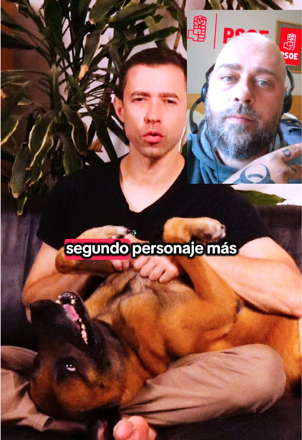 Tu perro NO tiene que saludar a todos los perros porque no todos quieren amigos, ante la duda, respeta las distancias o pide permiso.  #cletus #educacioncanina 