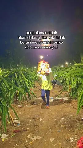 modale gor tekan nekat mangkat😁✌️#petanibuahnagabanyuwangi #dragonfruit #josjiss💥 #fyp #akubakol 