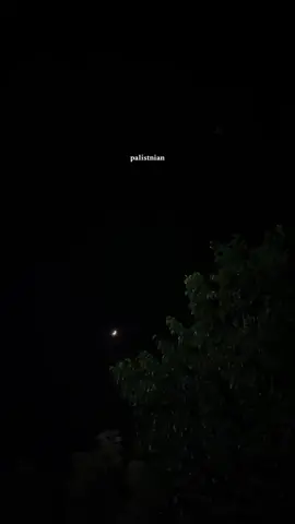 #palistnian #tiktok #fyp #اكسبلور #💔 