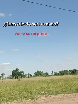 #compartelo #pyfツviral #cansado #paratii 