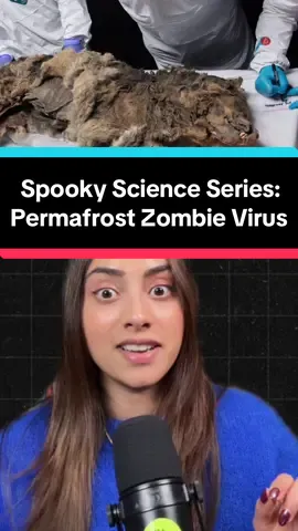 Things are crawling out of the permafrost 👀  The best analogy for the permafrost is it’s a freezer full of organic matter, meat and dead things that we accidentally left WIDE open. Now all that organic matter is slowly melting and coming back to life after 20,000 to 50,000 years If that ain’t spooky enough for ya idk what is.  New YT episode Halloween themed drops THIS THURSDAY make sure you’re subscribed to my YT channel with notifications on so you don’t miss it!! 🎃 👻  #permafrost #zombie #virus #bacteria #iceage 
