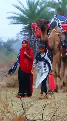 #🌹CapCut🌹 ##💔💔💔💔🌹 #🌹CapCut🌹 #🖤👈🤦🤦 #🤦🤦 🫰