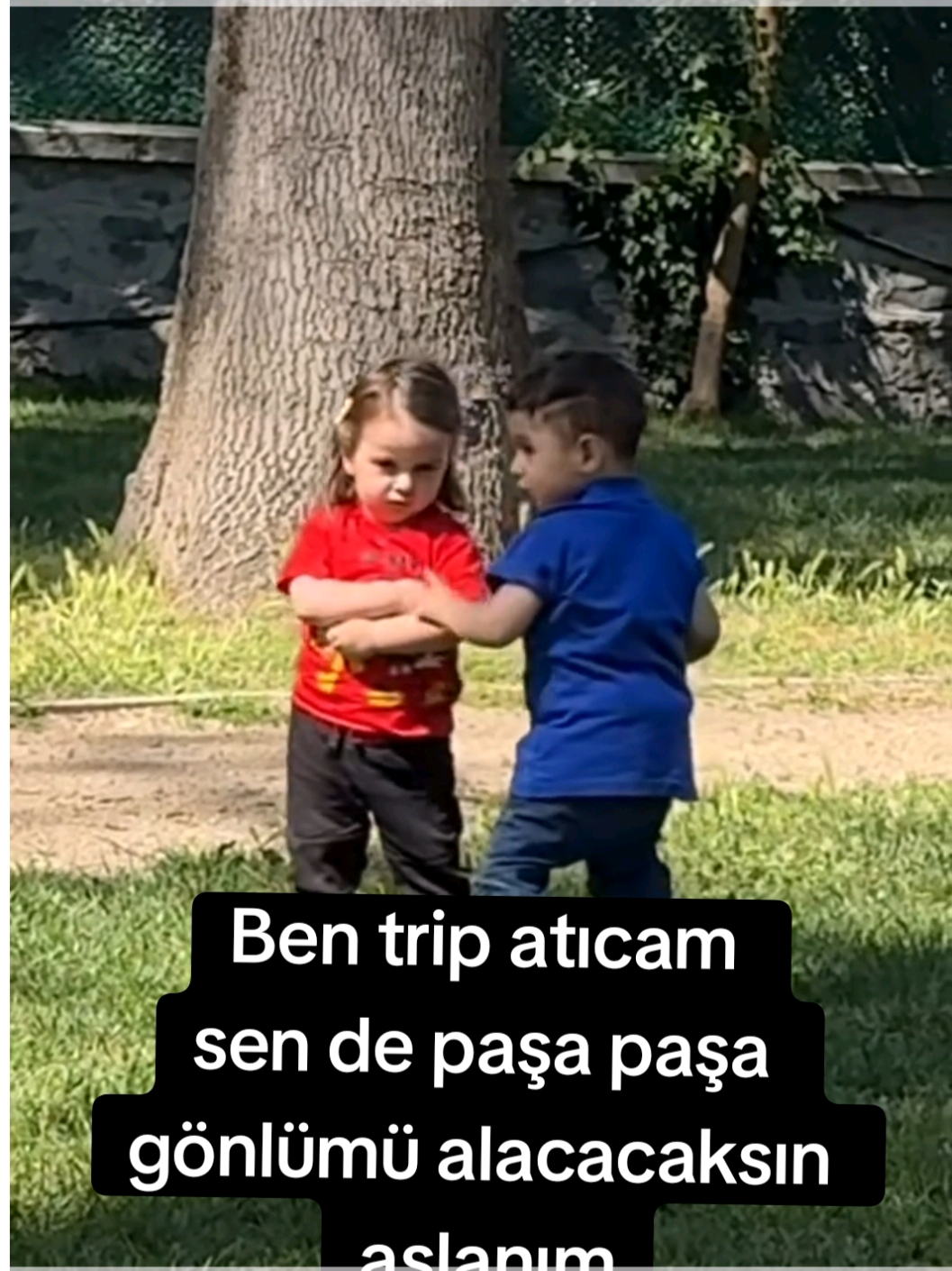 ben trip atarım sen de gönlümü alacaksın  #trip #paşa #aslan 