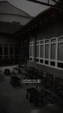 Quyết định yêu người họ Vũ.. #thao_denn #lunyentertainment #capcut #capcutpioneer #pioneertemplate 