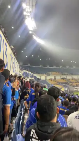 si paling persib..  #persib #persibbandung #southside #vikingpersibclub #fypage 