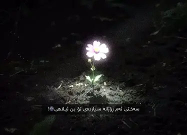 ئیلاهی🌚. #tiktok #alaaan #viralvideo #allahuakbar #ranya 