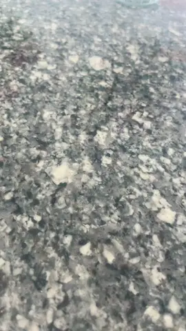 Blood sugar complex 20vitamins #sugarcomplex #bloodsugarcomplex20vitamins #tiktokshop #bloodsugar #meencanta 