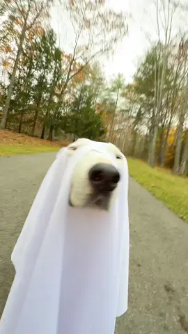 Anyone see a ghost??