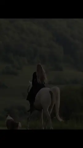 #Dream💫#🐎👑#Obsession #like❤️follow✍🏻_comment💬_ 