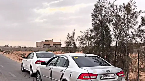 رصاصيه ولابيضاء🩶🤍✌🏼 #لوتزي2010 #ليبيا🇱🇾 #سبها_ليبيا_الجنوب_الليبي_طرابلس_بنغازي #اكسبلورexplore #طرابلس_بنغازي_المرج_البيضاء_درنه_طبرق 