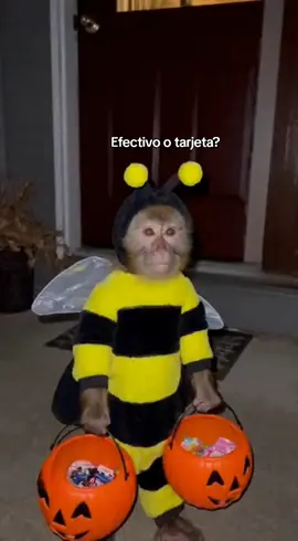 #halloweenlook #31deoctubre #fiestadedisfraces #comediahumor 