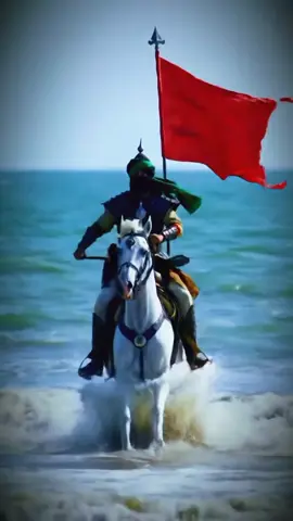 #creatorsearchinsights #viralvideotiktok #viralvideos #foryoupage❤️❤️ #Foryou 