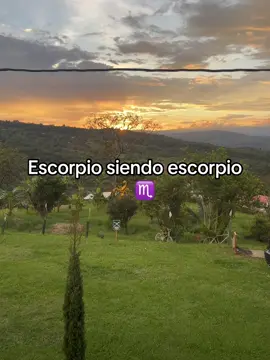 Chinguen a su m.. todos 😂#humor #scorpion #escorpio♏ 