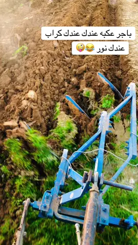 #شعب_الصيني_ماله_حل😂😂 #مالي_خلق_احط_هاشتاقات🧢 #بغداد_بصرة_موصل_الكويت_الخليج_دبي_ 