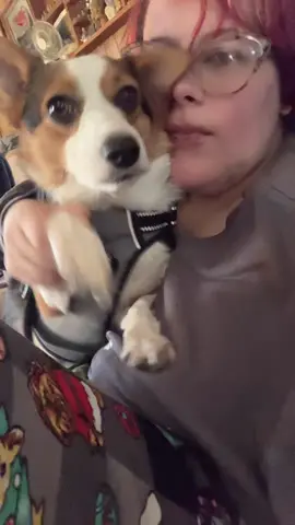 S’mores likes to play fight with Galaxy so this audio fits her #Dog 