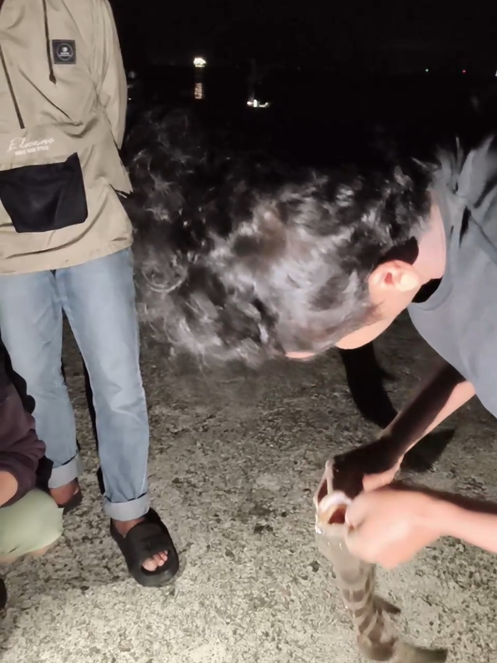 #tiktoklive #livehighlights 