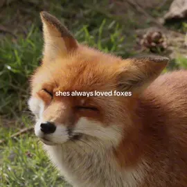 literally me #fox #foxes #fantasticmrfox #autumn #fyp 