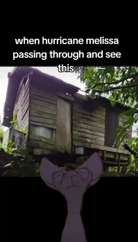 #Meme #MemeCut #CapCut #viral #jamaicatiktok 