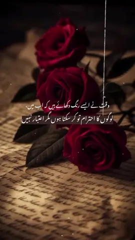 bilkul🙌🌚❤️‍🔥#foryou #aestheticpoetry #creatersearchinsights #tiktokteamdontunderreviewmyvide #1millionaudition 