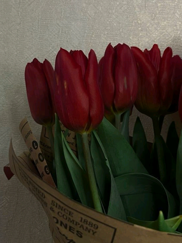 benim adım jenniee#jenniegüzelligimüqq #likejennie #rapper #a🤲🧕📿lütfentutsun #edit 