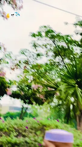 @chota.1020 @❤️‍🔥peko king❤️‍🔥 @☠️ ℍ𝕖𝕒𝕣𝕥𝕝𝕖𝕤𝕤❤️‍🔥❤️‍🩹 @nobody_001 