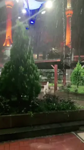 #ازميت#كولجك#🌧️🌨️