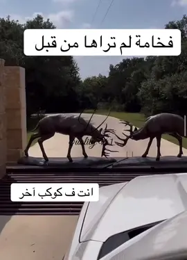 افخم بوابة دخول في الشرق الأوسط افخم ديكورات #qualityn1sculptor #ديكورات_داخليه #اكسبلور #ترند #ديكور 